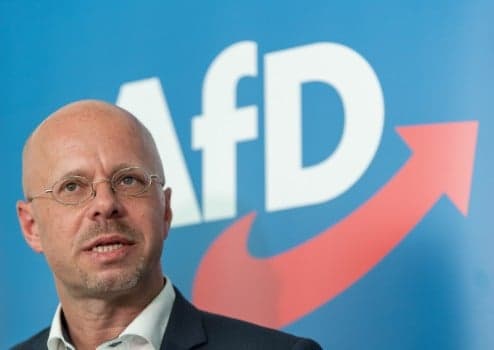 Court halts AfD attempt to throw out far-right figurehead