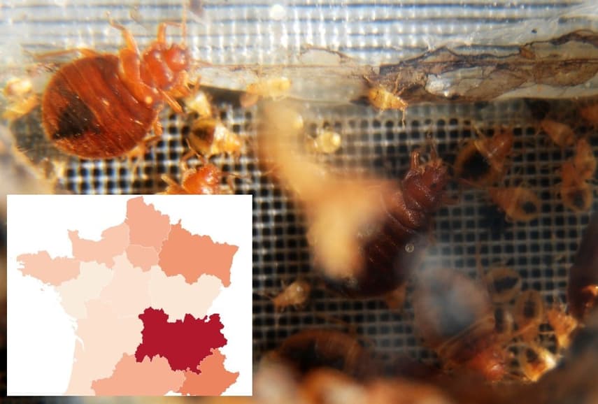 Map Where Are The Worst Places In France For Bed Bugs The Local
