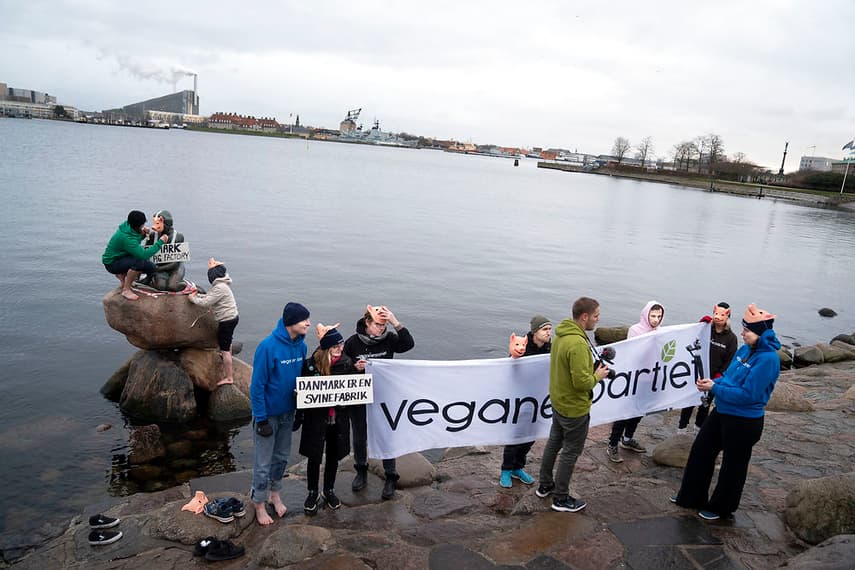 Who are Denmark’s Vegan Party and what do they want?