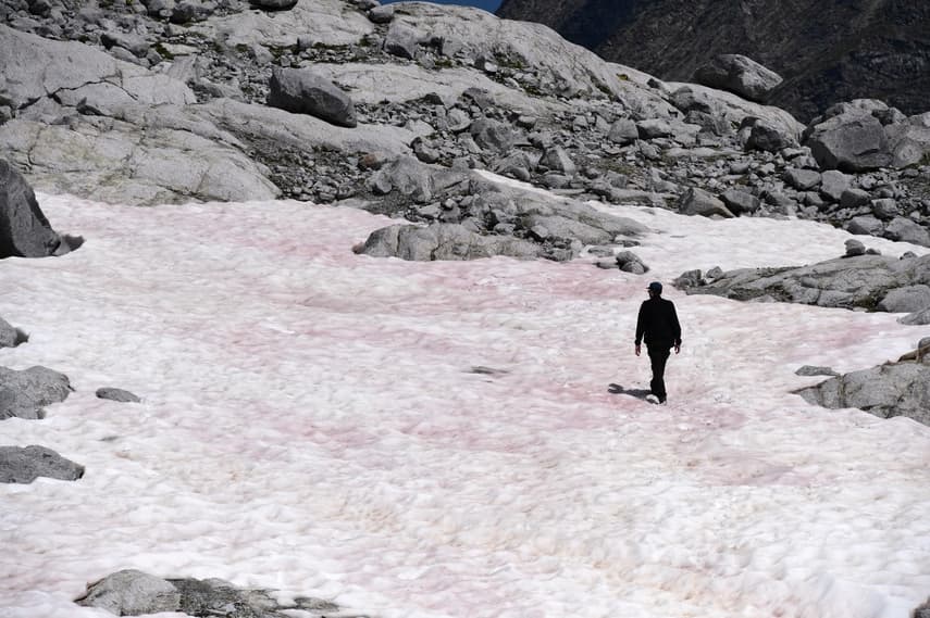 Pink ice in Italy's Alps sparks algae probe