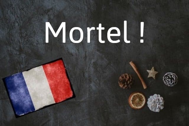 French word of the day: Mortel