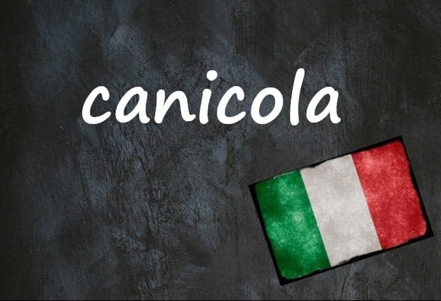 Italian word of the day: 'Canicola'