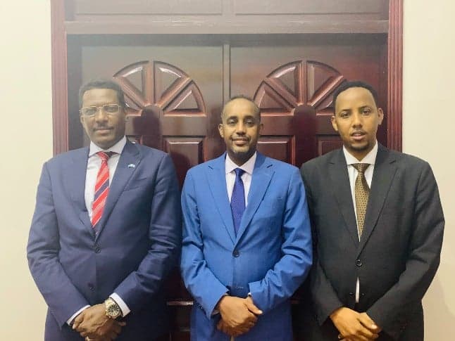 Swedish citizen appointed next prime minister of Somalia