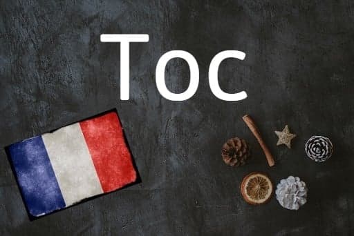 French word of the day: Toc