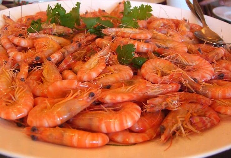 Why you shouldn't suck prawn heads during Christmas feast in Spain
