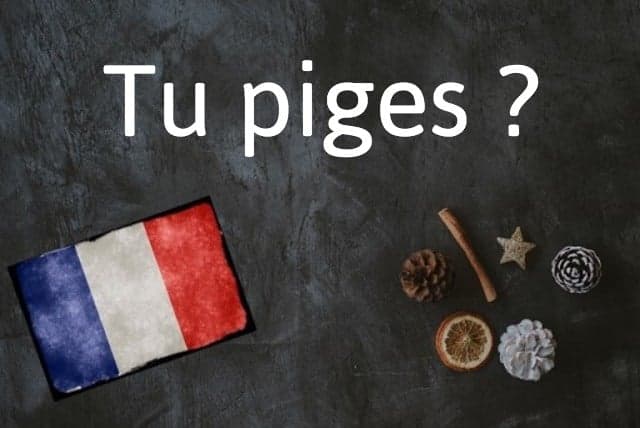 French expression of the day: Tu piges ?