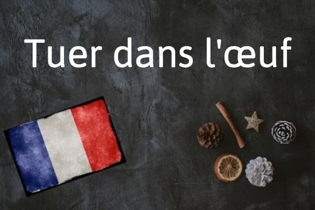 French expression of the day: Tuer dans l’œuf