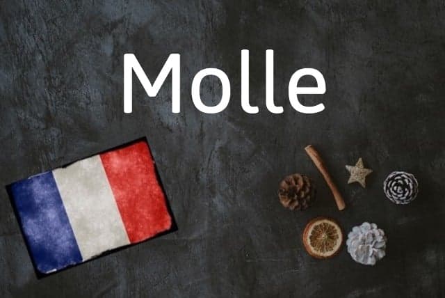 French word of the day: Molle