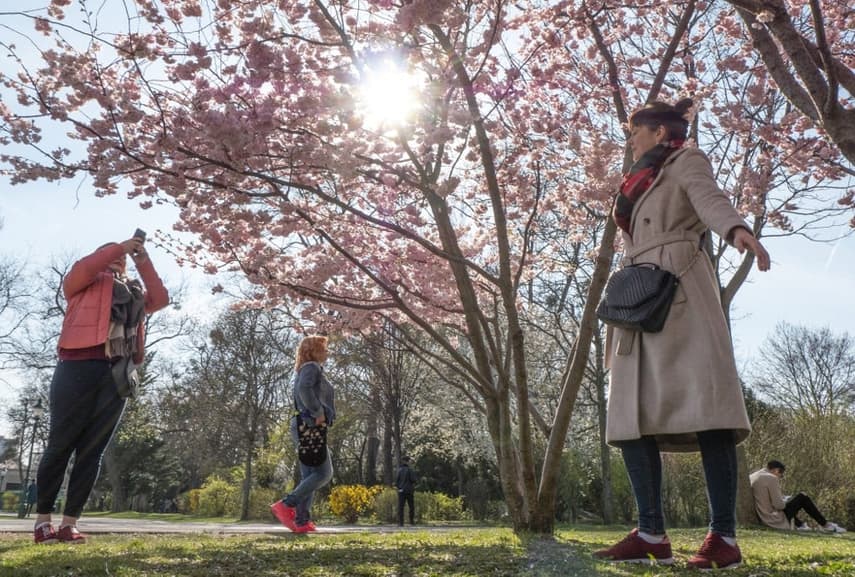 25°C: Temperatures on the rise in Austria ahead of Easter weekend