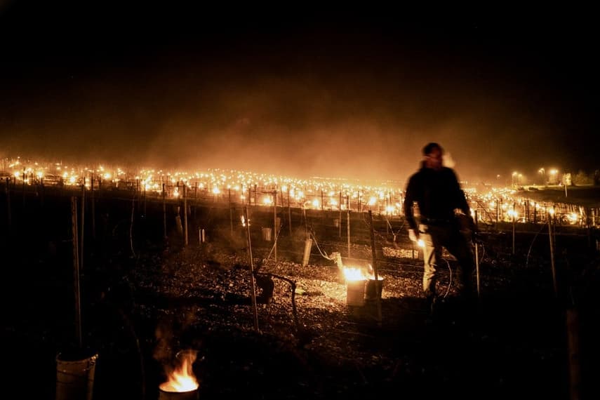 IN PICTURES: French vineyards ablaze in bid to ward off frosts