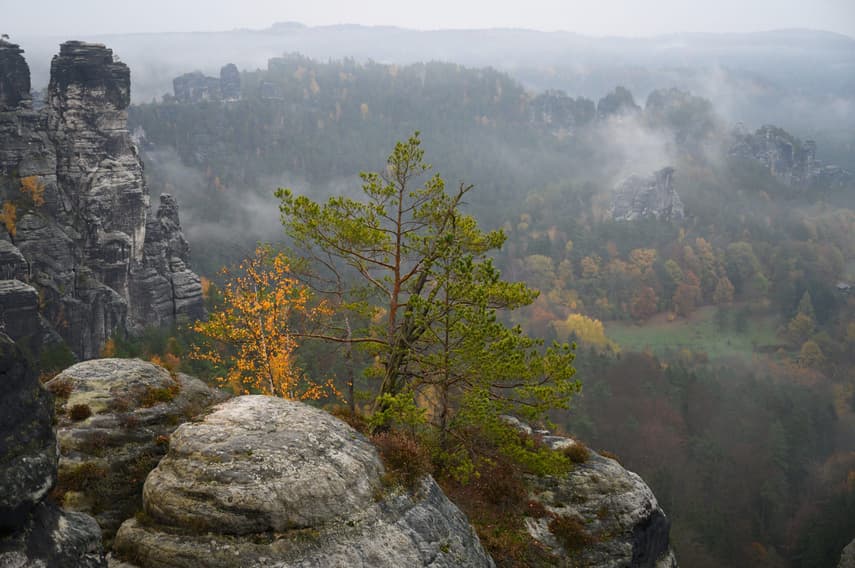 VIDEO: Watch Germany's 7 natural wonders for Earth Day