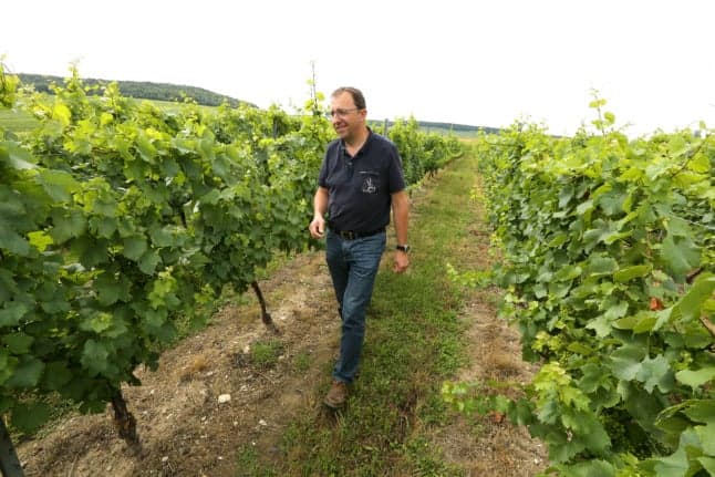 Why French Champagne growers are scrapping a 100-year-old rule