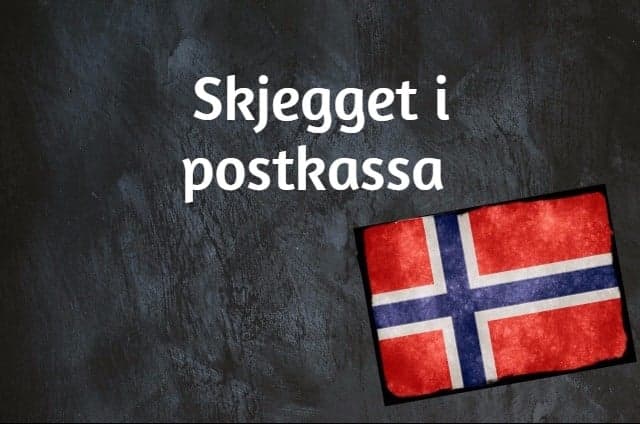Norwegian phrase of the day: Skjegget i postkassa