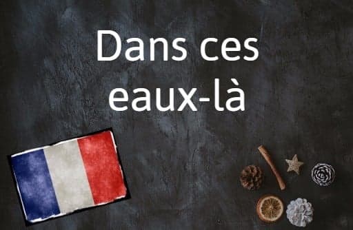 French phrase of the day: Dans ces eaux-là