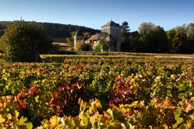 Why France's Burgundy vineyards are more vulnerable to extreme weather