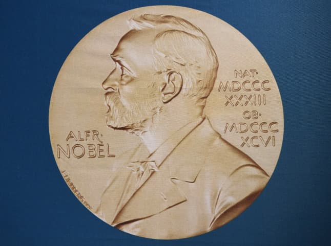 Cash-strapped Nobel Institute asks Norway for government support