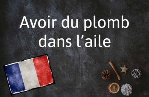 French phrase of the day: Avoir du plomb dans l’aile