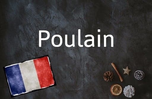 French word of the day: Poulain