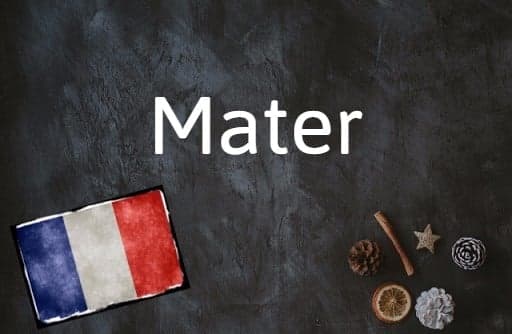 French word of the day: Mater
