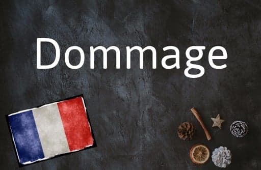 French word of the Day: Dommage