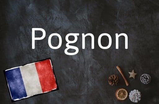 French word of the Day: Pognon