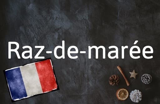 French Expression of the Day: Raz-de-marée