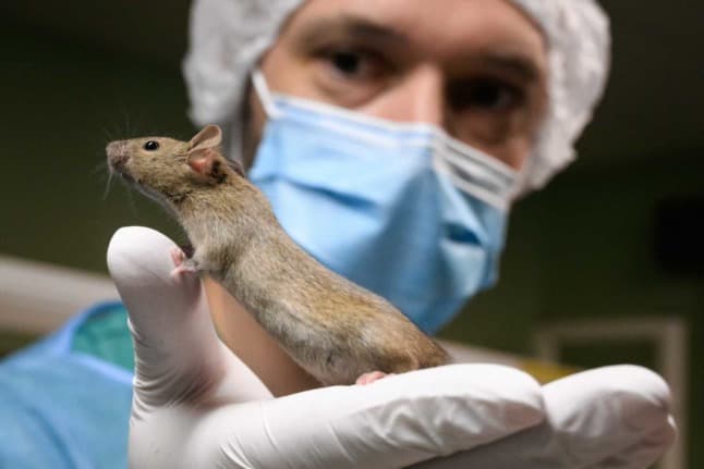 EXPLAINED: What is Switzerland's animal testing referendum all about? - The  Local