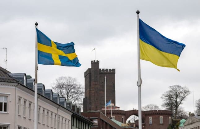 INTERVIEW: How could Russia's war in Ukraine affect Sweden?