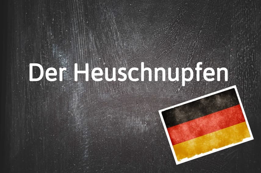 German word of the day: Der Heuschnupfen
