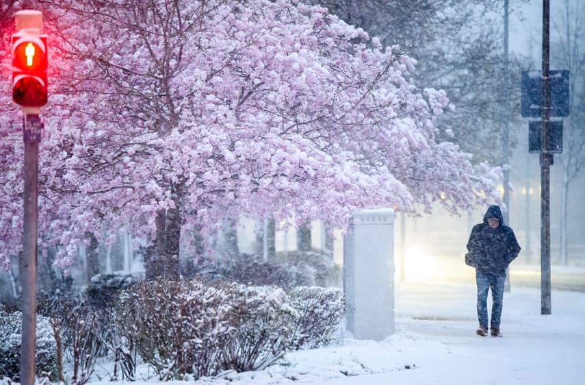 Germany struck by snow and frost as wintry temperatures return