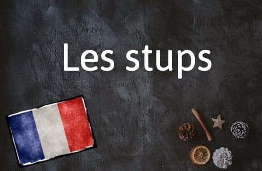 French Expression of the Day:  Les stups