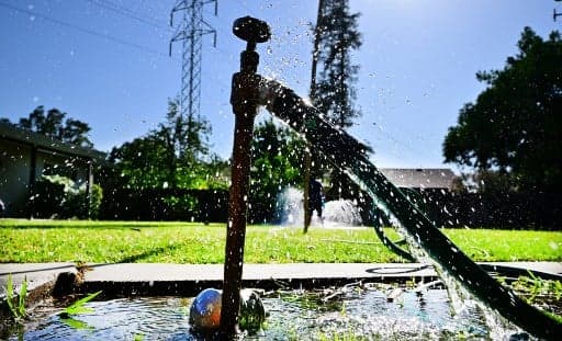 Eight ways to save water during Italy’s drought
