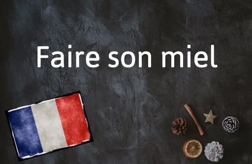 French Expression of the Day: Faire son miel