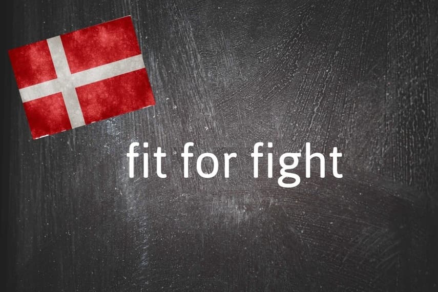 Danish expression of the day: Fit for fight