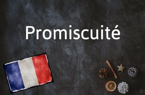 French Word of the Day:  Promiscuité