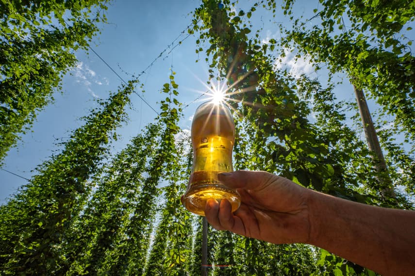 EXPLAINED: The German regions producing the most important beer ingredient