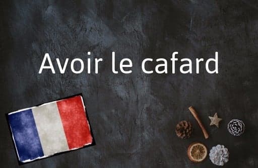 French Expression of the Day: Avoir le cafard