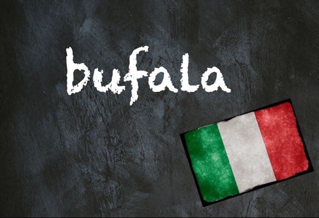 Italian word of the day: ‘Bufala’