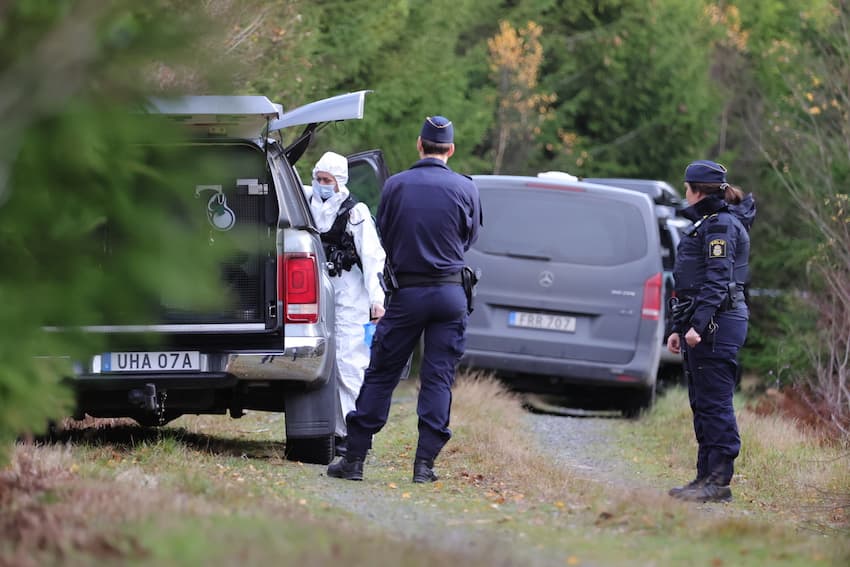 What do we know about the 'Tove' murder that has shocked Sweden? - The ...