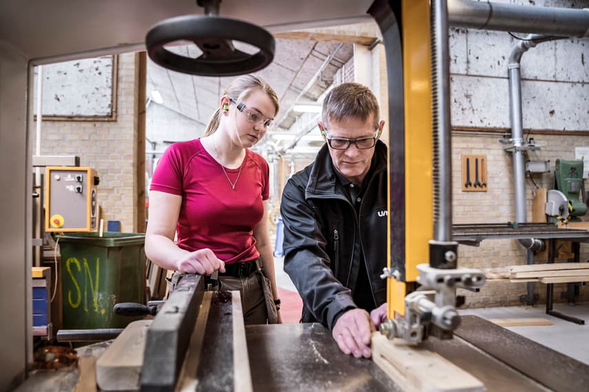 Why are fewer young Danes studying trades?