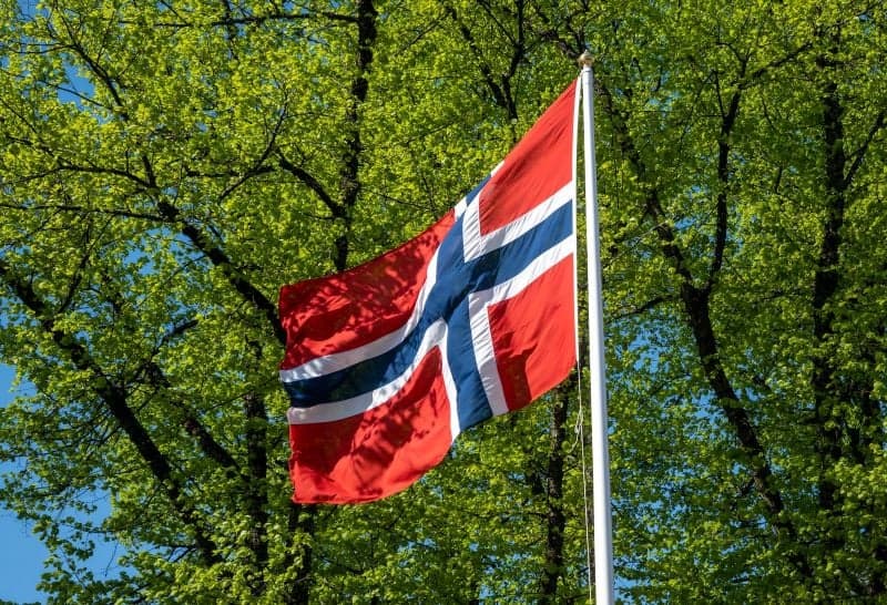 How long do Norwegian citizenship applications take to process?