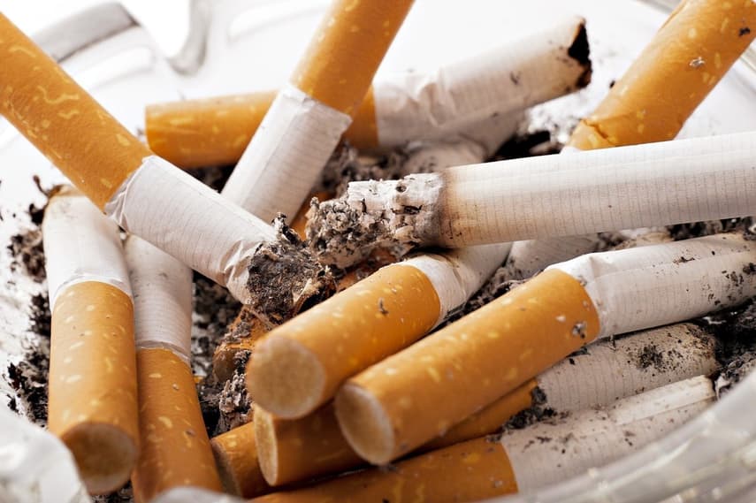 Geneva bans smoking in some outdoor areas
