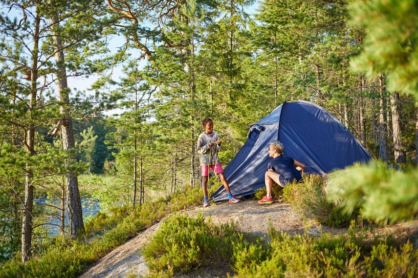 How to have a cheap holiday in Sweden this summer