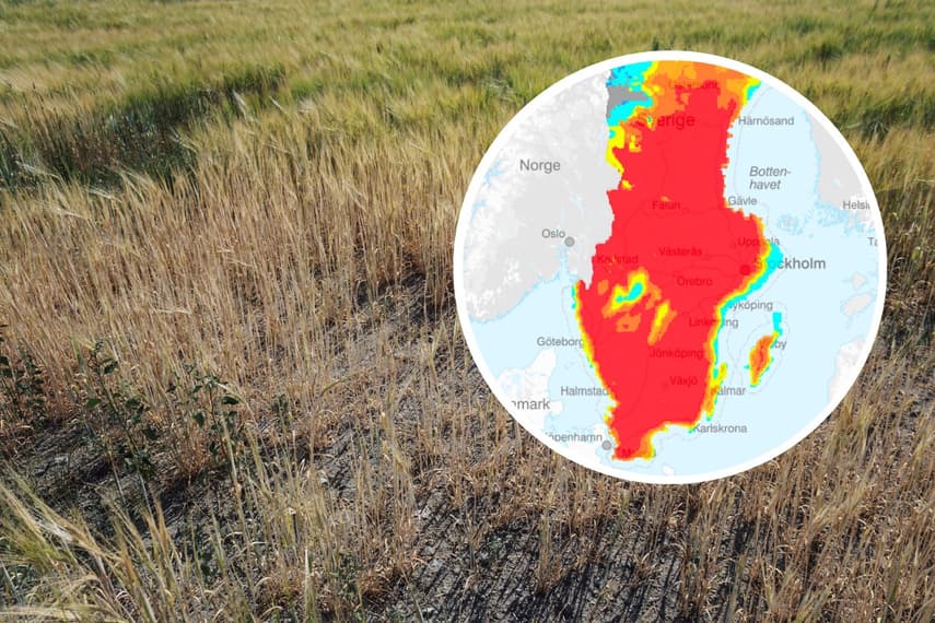 IN MAPS: What the drought could mean for Sweden this summer