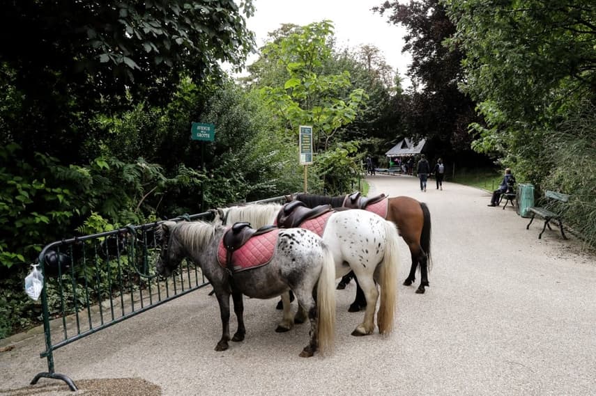 Paris city council votes to end park pony rides