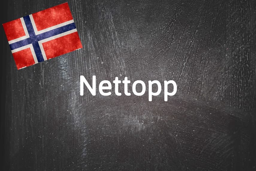 Norwegian word of the day: Nettopp