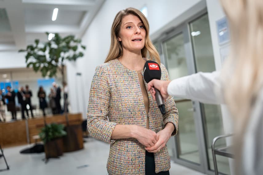 Danish employment minister against easing immigration rules for labour
