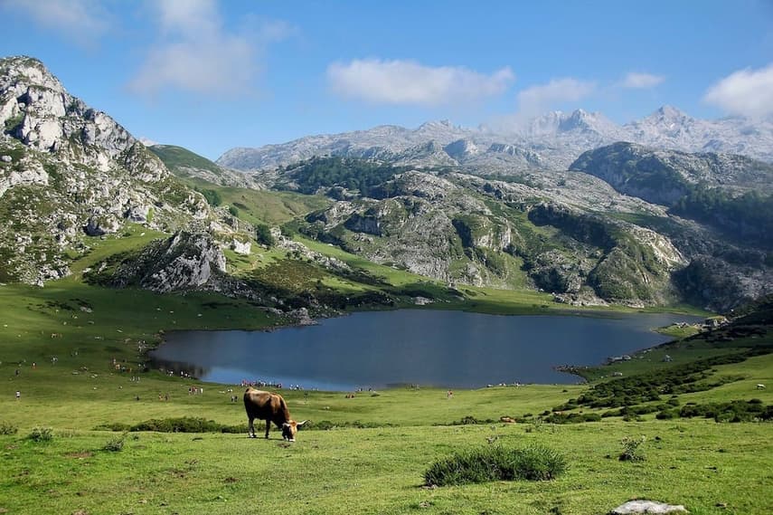 Eight fascinating facts about Spain's Asturias region