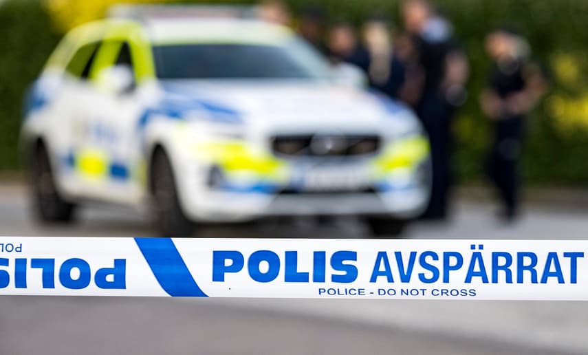 Murdered 13-year-old found in forest near Stockholm