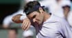 Tsonga knocks Federer from French Open